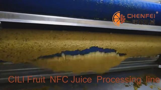 Apple and pear NFC Juice Processing Line смотреть онлайн