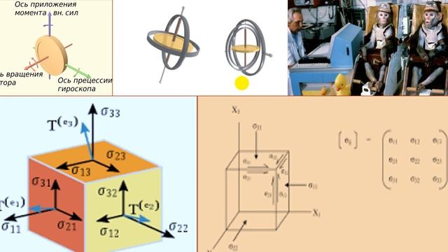 43.5 Тензор смотреть онлайн