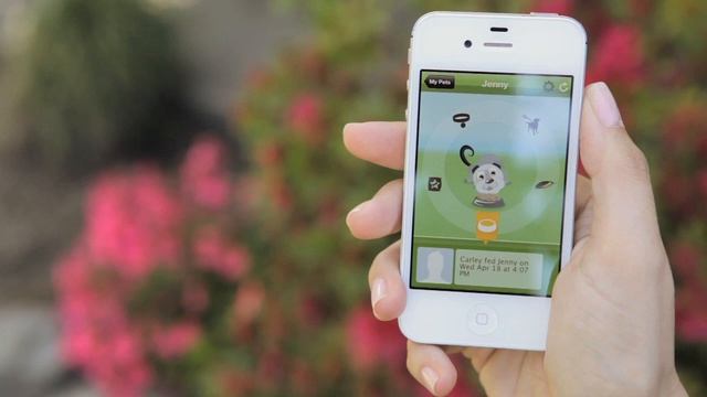 The best tech tools for pet lovers. смотреть онлайн