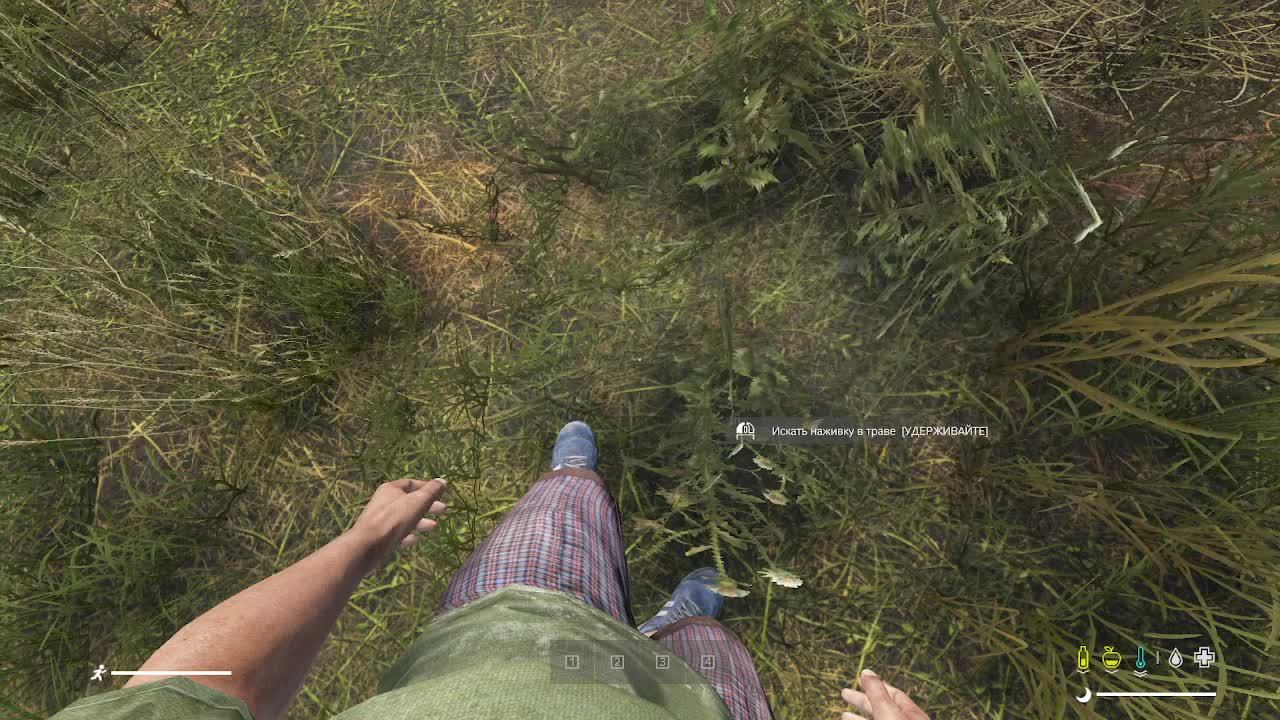 играю в дейз