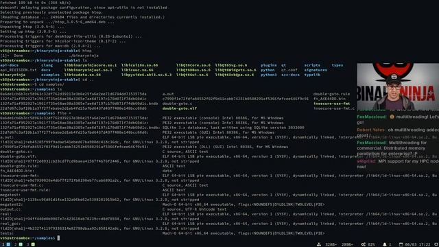Binary Ninja Live Stream: June 3 (3.1 launch!) смотреть онлайн
