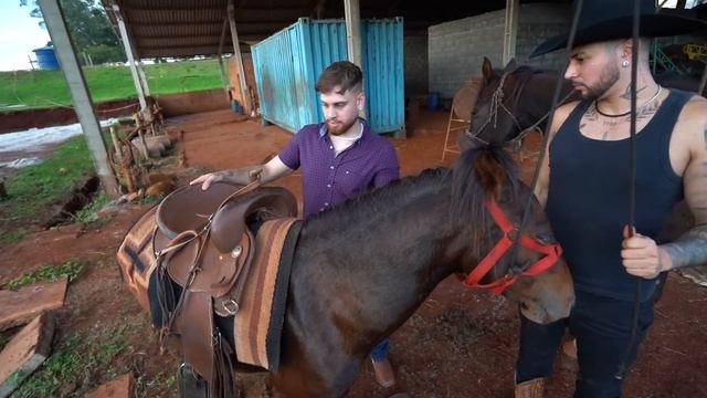 DEI UM CAVALO DE PRESENTE PARA O LEO !! 😍🐎 смотреть онлайн