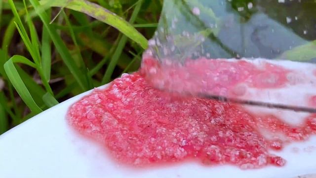 ASMR Crushed snail eggs | Apple snail Eggs ASMR 🐌35 смотреть онлайн