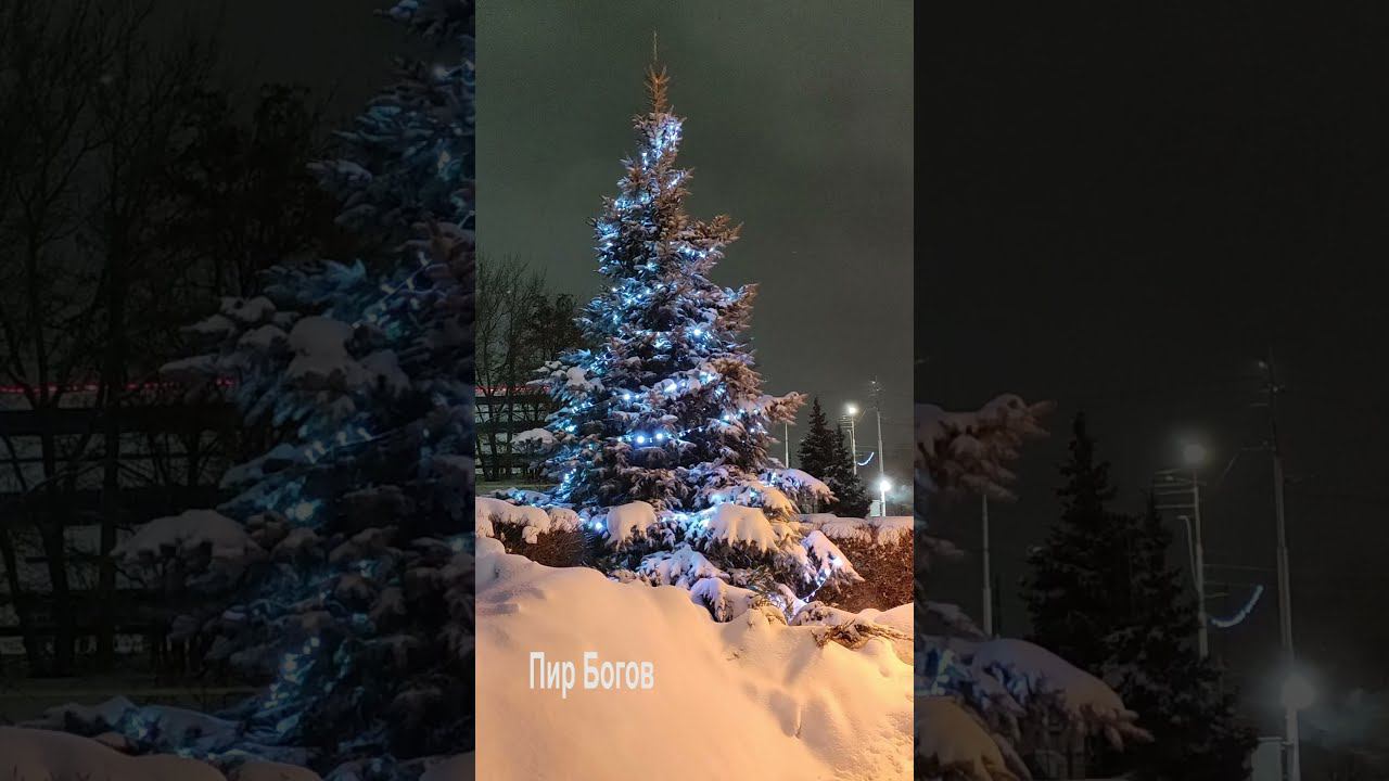 Поздравляю всех с Новым годом! смотреть онлайн