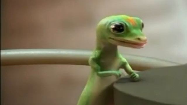 Best of High Stakes Poker Season 5: Joe Hachem, Ace Kings and Geico смотреть онлайн