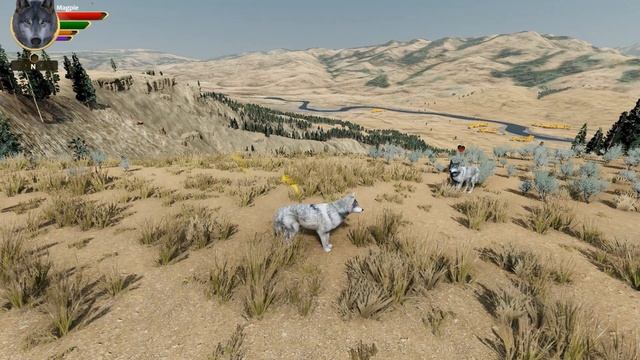 WolfQuest Longplay - Relaxing Exploration, Wildlife Watching Gameplay (No Commentary) смотреть онлайн