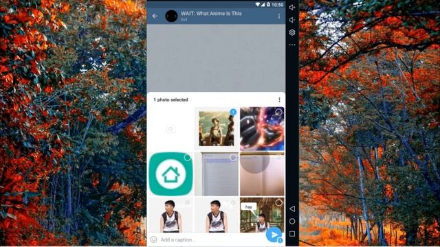 Cara Mencari Judul Anime Hanya Melalui Gambar Menggunakan BOT Telegram Hp Android - Ko Tutorial смотреть онлайн