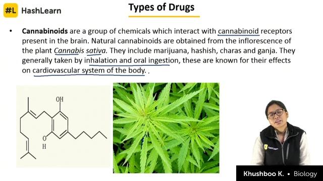 Drugs and Alcohol Abuse | Human Health and Disease | Biology | Target NEET 2019 | Day 65 смотреть онлайн