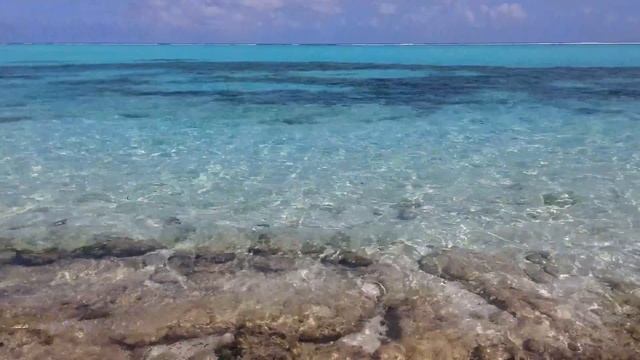 Мальдивы берег, каракатицы, прозрачная вода Тодду смотреть онлайн