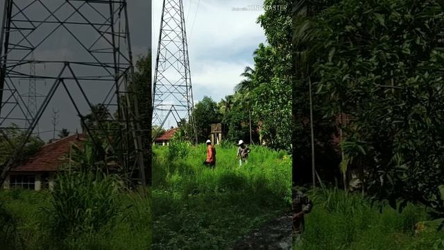 110 kv electric line height measured | kerala | kseb| смотреть онлайн