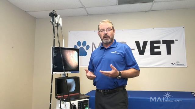 HD Video Endoscope Overview смотреть онлайн