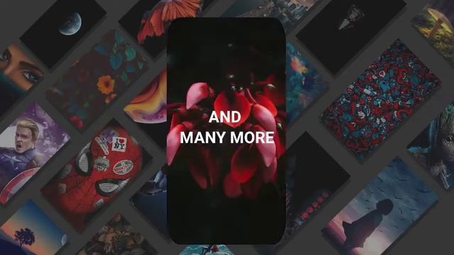 4K Wallpaper смотреть онлайн