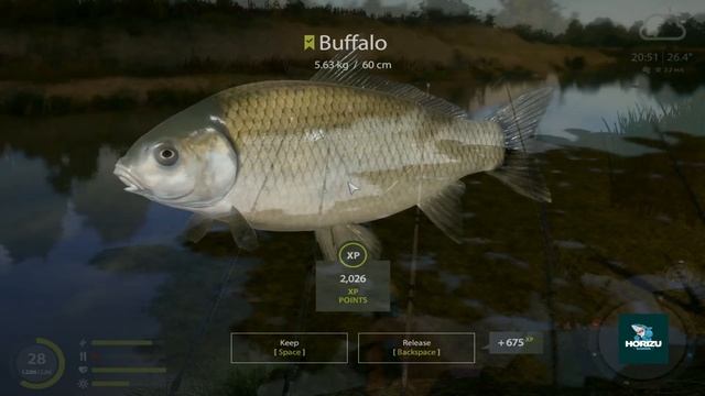 Russian Fishing 4 BUFFALO SPOTS Akhtuba River смотреть онлайн