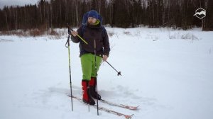 Как выбрать палки для лыжных походов