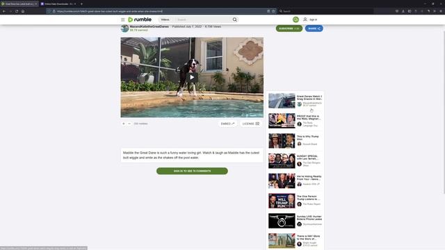 How To Download All Rumble Videos in 2024 смотреть онлайн
