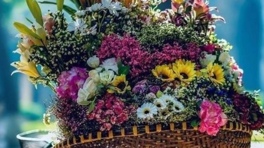 Желаю Доброго Дня и Хорошего Настроения - Красивое Пожелание Доброго Дня #настроение #хорошего смотреть онлайн