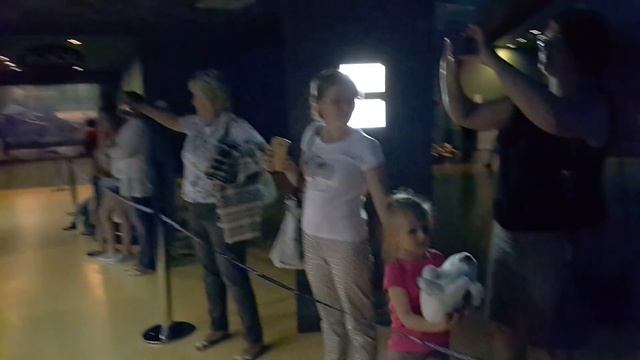 Москвариум(25) смотреть онлайн