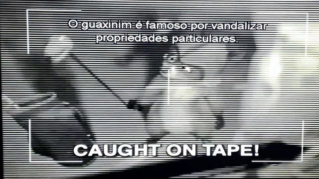 Over the Hedge (2006) - Verm-Tech Infomercial (In 4K) смотреть онлайн