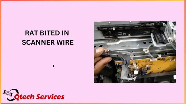 Prevent your copier and digital duplicators from rat and pests / #printer #copiers #scanner #kyocer смотреть онлайн