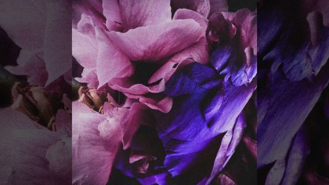Ruin Of Romantics - 7AM смотреть онлайн