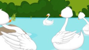 Гадкий утенок