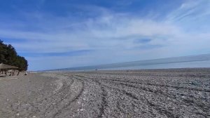 Пляж КИПАРИСОВАЯ АЛЛЕЯ в Пицунде. Туристы открыли пляжный сезон 2023. Дельфины в Абхазии.