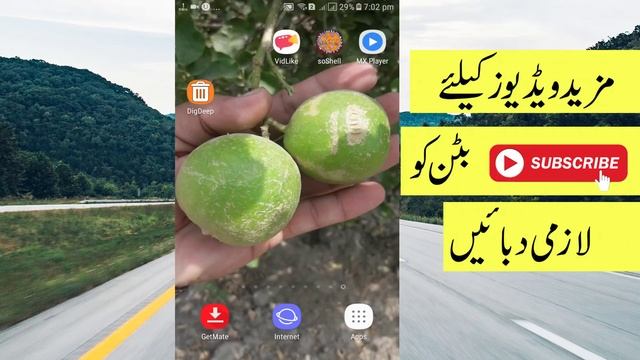 Best Photo Recovery App For Android | How To Recovery Deleted Photos In Android Device смотреть онлайн