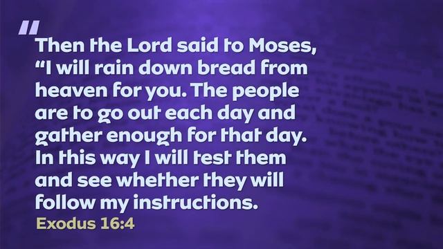 Lessons from Exodus || Episode 9 || God's timing is perfect смотреть онлайн
