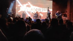 Воля И Разум "Берегись". Клуб Base 17.10.2024