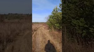 Путешествие на ГАЗ 3110, Орёл- Котлас