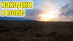 Необычные находки в поле!Аж руки тряслись!Коп старины с металлоискателем!
