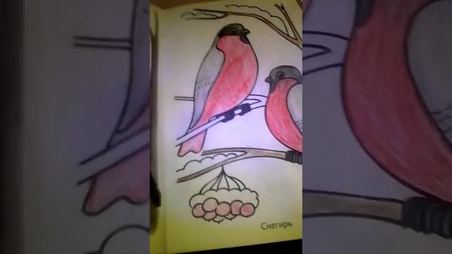 Влог раскраска 1 часть