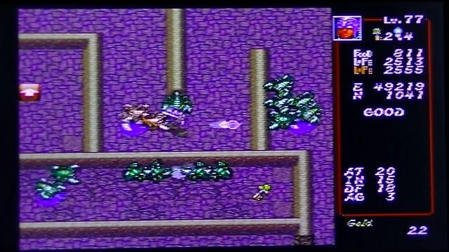 Dungeon Explorer (SegaCD) Desert Lv1 Walkthrough смотреть онлайн