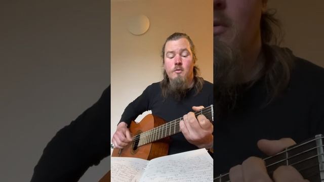 Have You Ever Seen The Rain? - Creedence Clearwater Revival (Acousticcover)