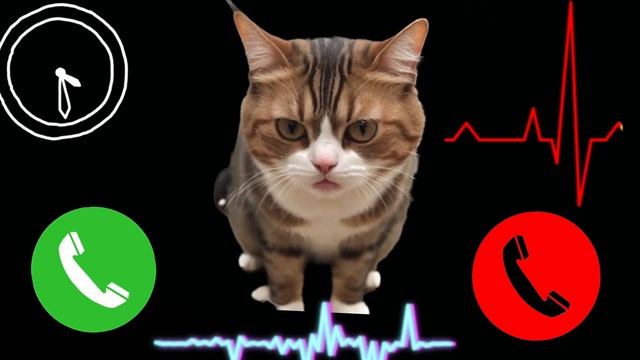 Apple best ringtone iPhone Pro max cat🍎#iphone EP.1 смотреть онлайн