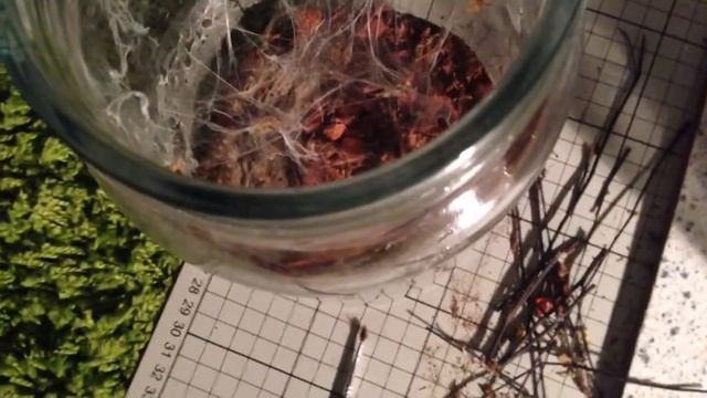 Rehousing hmac part1 смотреть онлайн