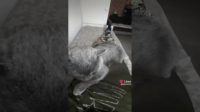 Барс лекарь смотреть онлайн