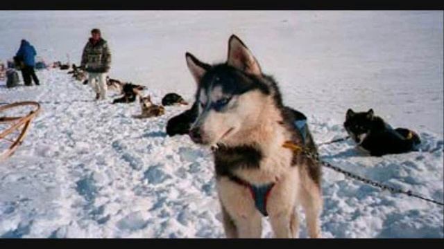 Vangelis - Antarctica