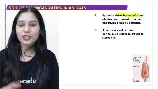 Class 11 | New Batch 2021-22 | Structural Organization in Animals L-2 | Biology | Tamsa Tyagi смотреть онлайн