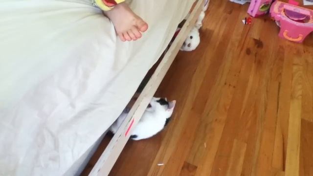 My kids looking for my ipod touch смотреть онлайн