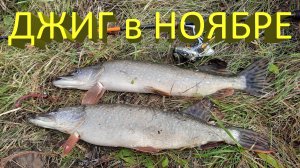 🔥 Как поймать на ДЖИГ пассивную ЩУКУ? Выручил Keitech Swing Impact! Рыбалка на спиннинг в ноябре 🔥