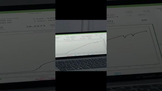 Натяжной зажим образец 2