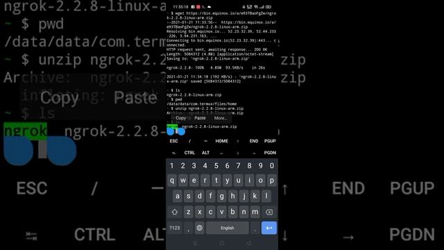 How to install ngrok and use with wifi/data without hotspot | THBD 🥰 смотреть онлайн