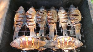 Карась горячего копчения в коптильне ВКУСНЫЙ РЕЦЕПТ