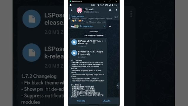 Cara Install LSPosed (Zygisk Release) Di Magisk 24.1 / Magisk Zygisk