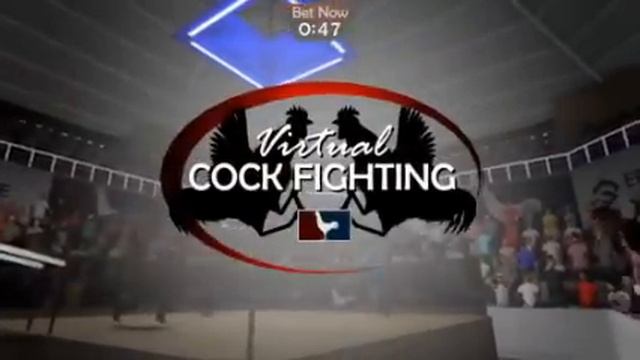 Edge Gaming Virtual Cockfighting смотреть онлайн