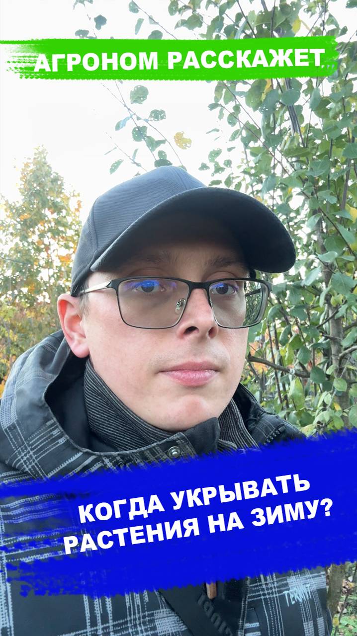 Когда укрывать растения на зиму смотреть онлайн