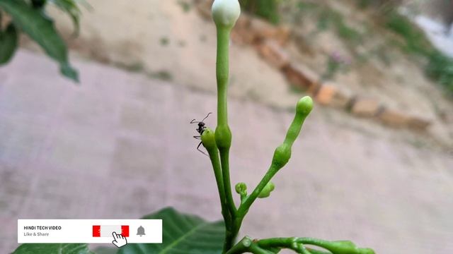 📷Google Camera 8.2.204 Latest Camera By Dise ft. Redmi Note 7/Xiaomi Mi A2 Android 11 смотреть онлайн
