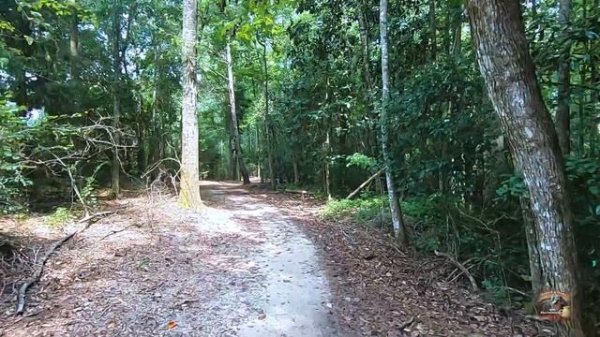 Fantasy Hike/Virtual Hike With Music/HD