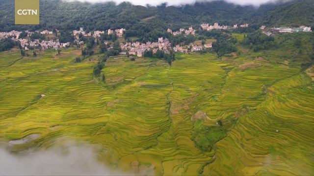 Optimal farming conditions yield bumper harvests across China смотреть онлайн